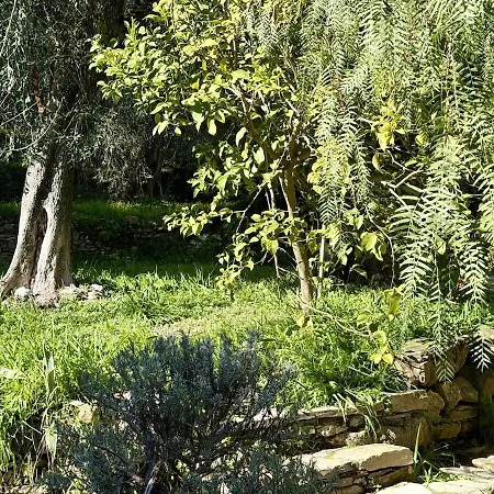 Host4u - Cozy Retreat At House Don Camillo, In Trincheri Apartamento *